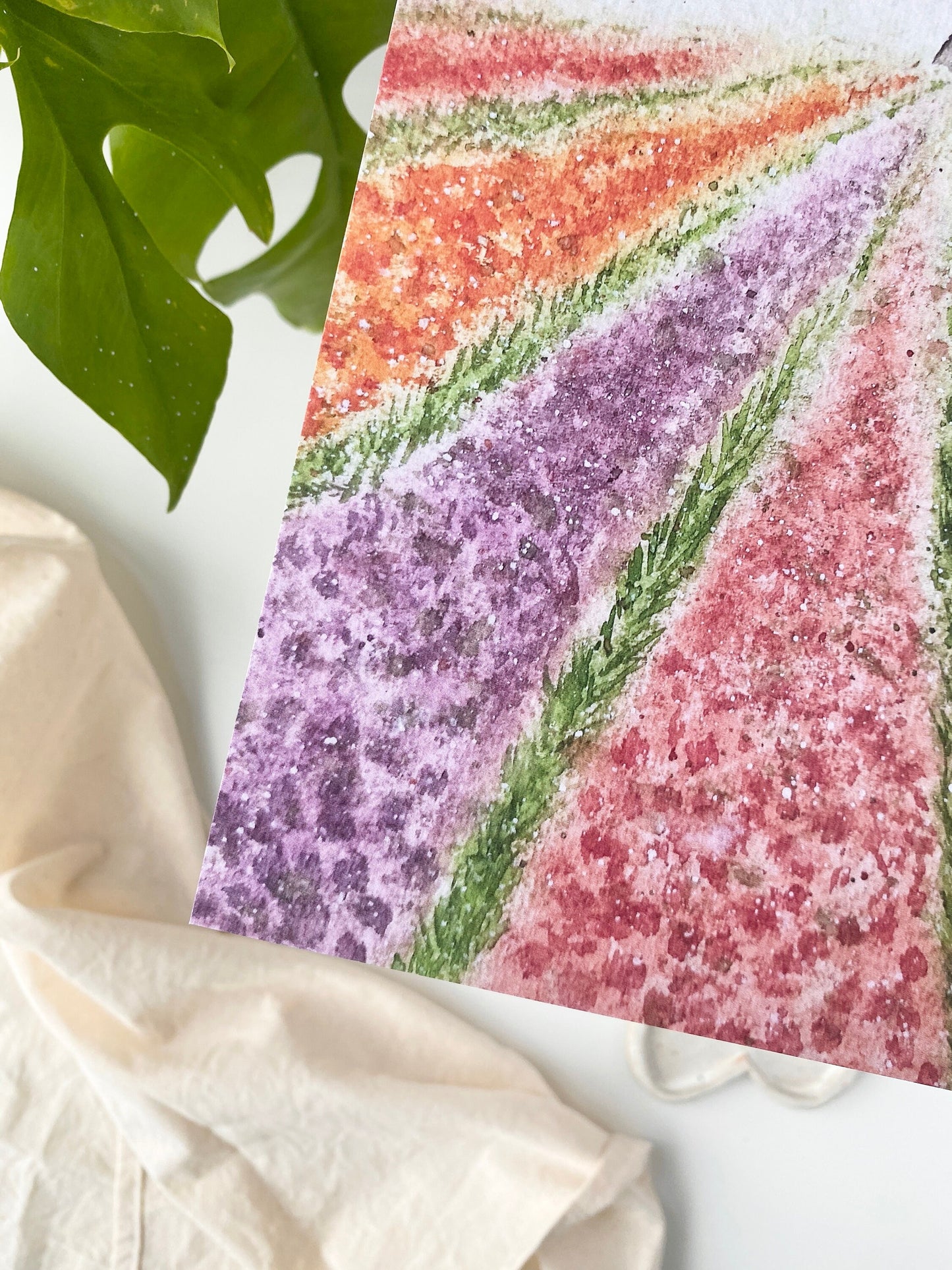 Tulip season - Art print