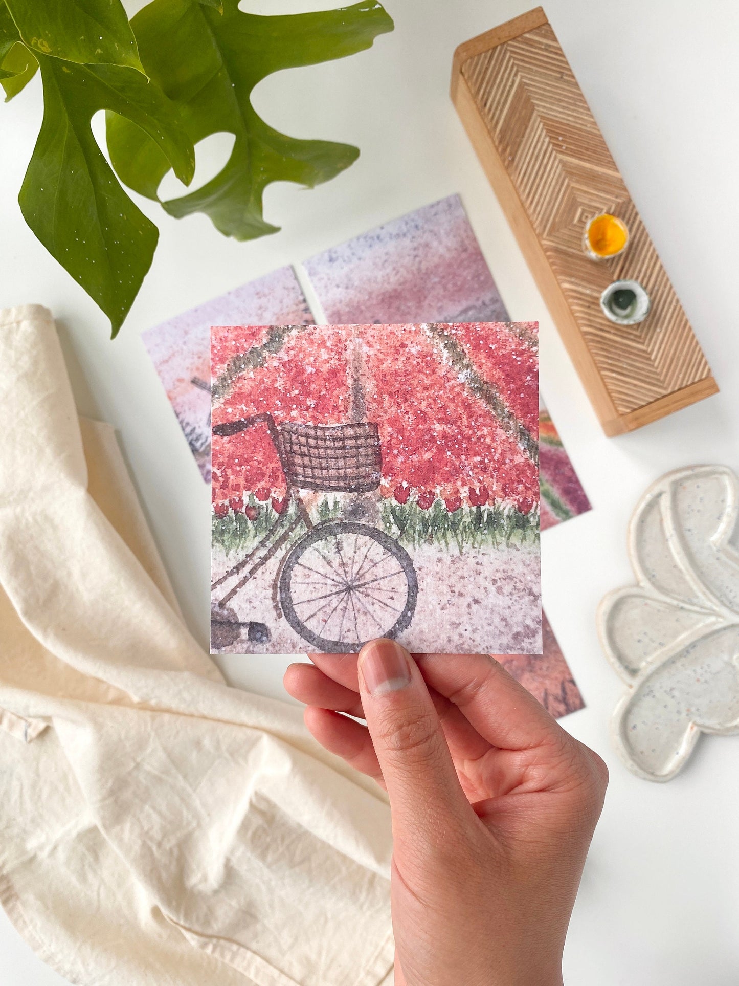 Dutch postcards - Set of 5