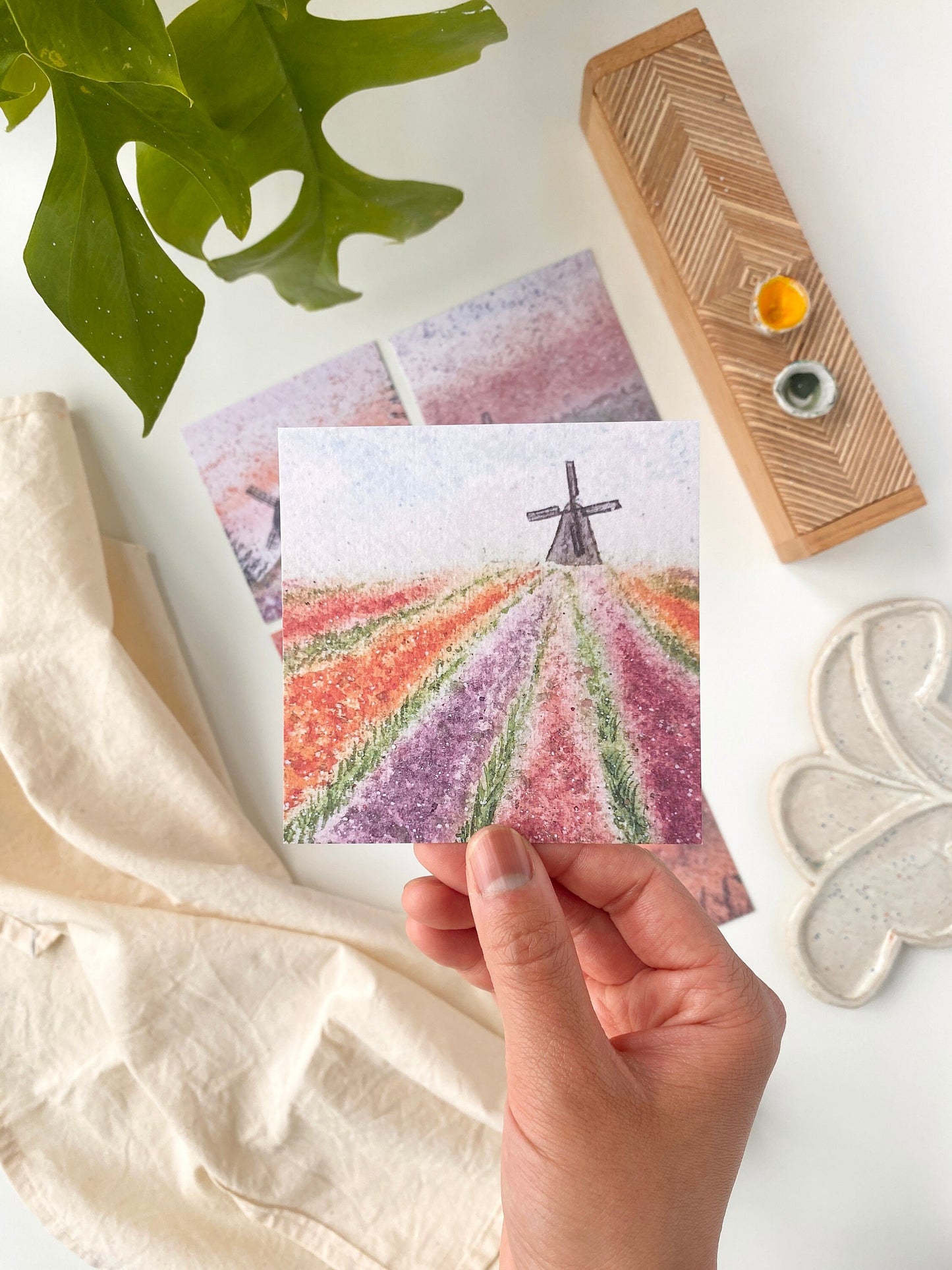 Dutch postcards - Set of 5