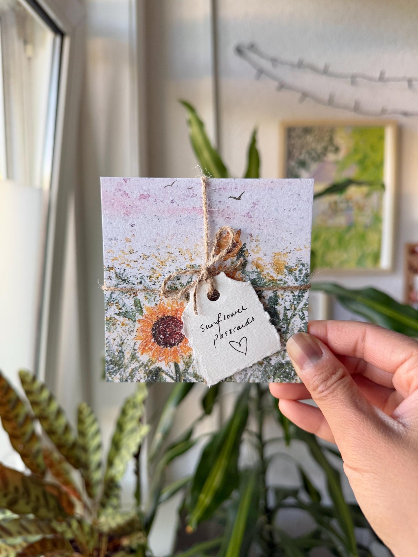 Sunflower postcards - Set of 5