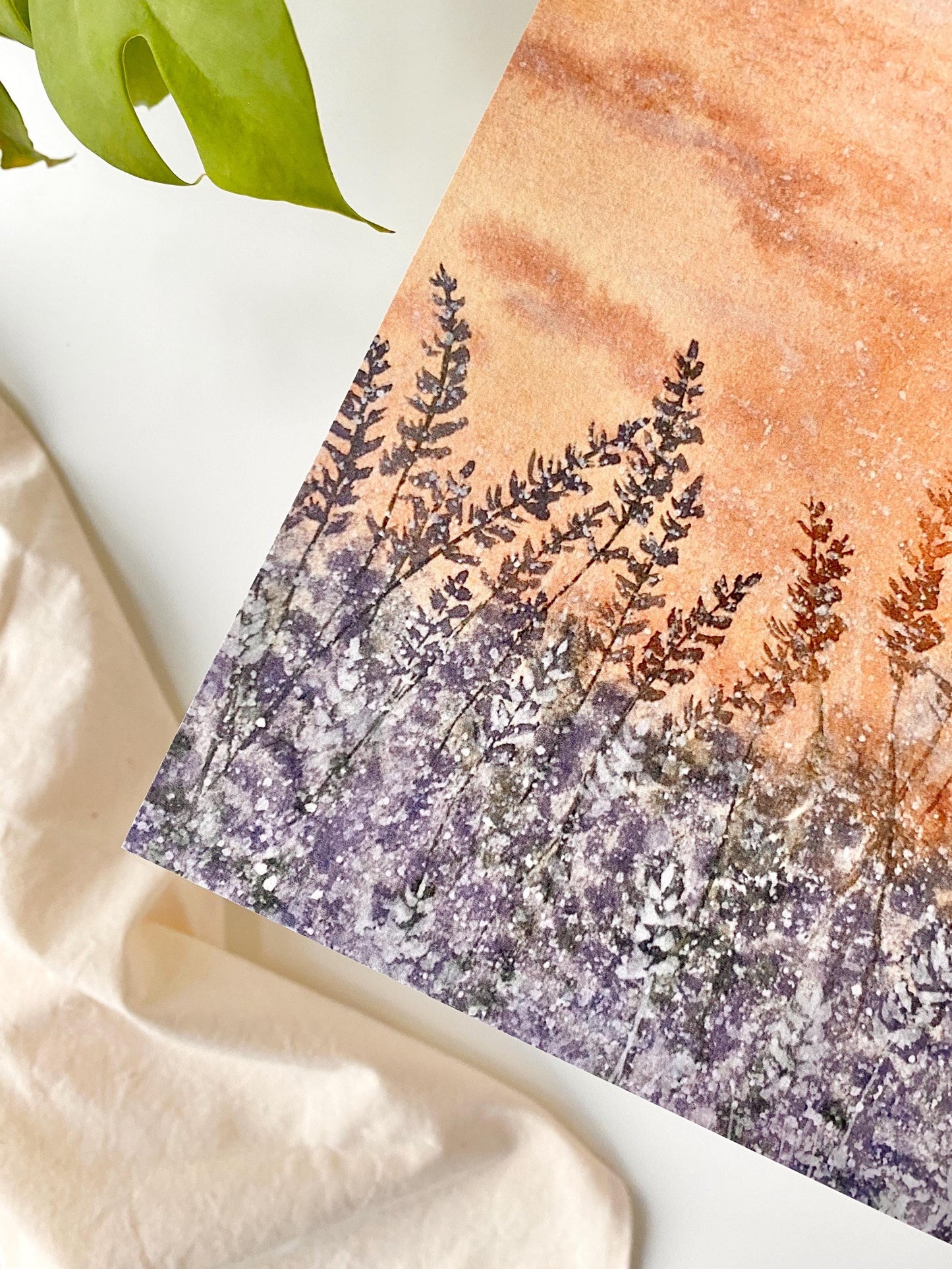 Blooming lavenders - Art print